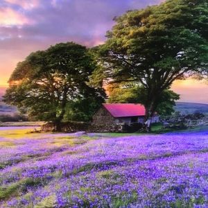 Meet your Posher, Maximus